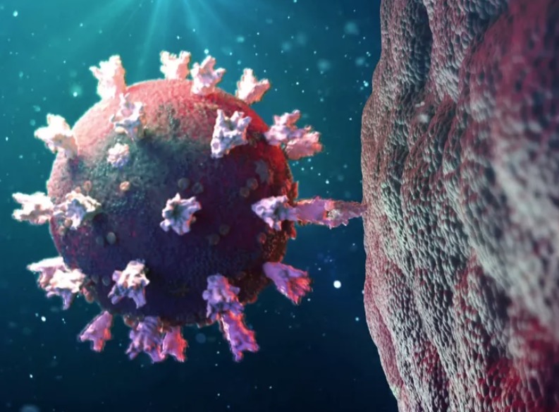 Variante do coronavírus encontrada na África é mais perigosa, diz ministro 