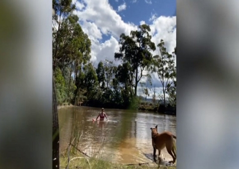 Vídeo: Mulher e cachorro escapam de ataque de cobra em lago
