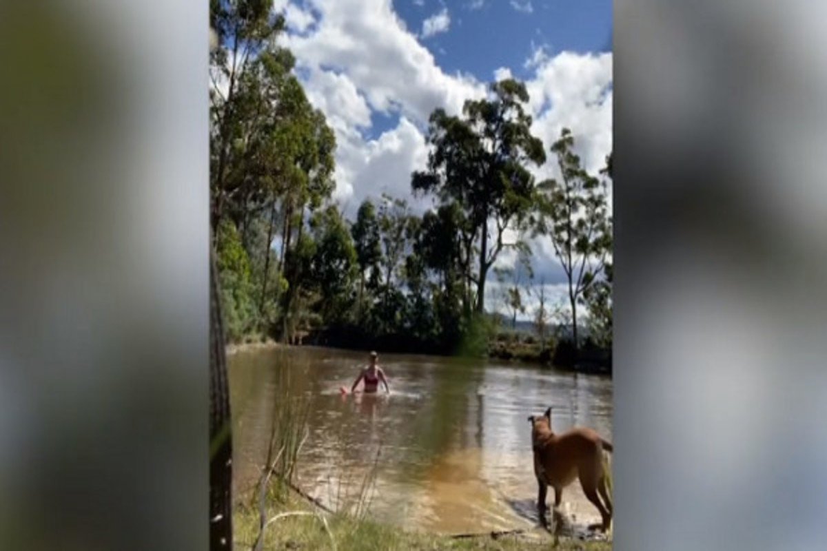 Vídeo: Mulher e cachorro escapam de ataque de cobra em lago