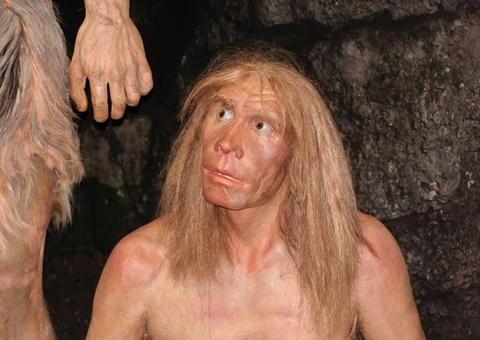 Esqueleto de uma criança neandertal descoberto pode ajudar em pesquisa