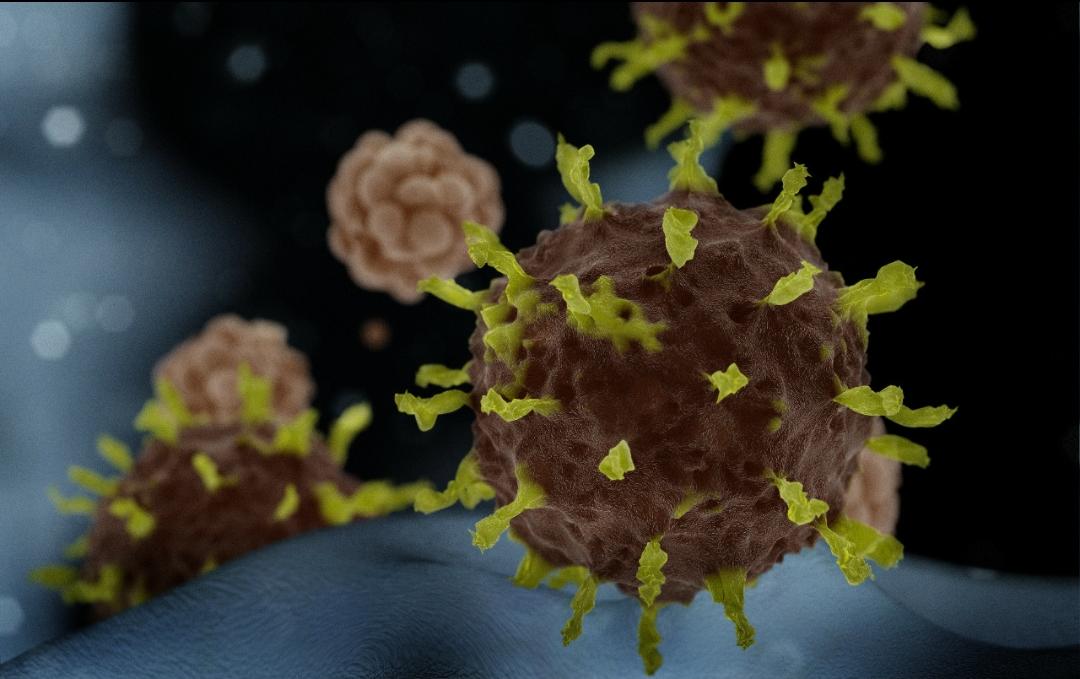 Reino Unido exigirá 2 testes de Covid-19 na chegada ao país