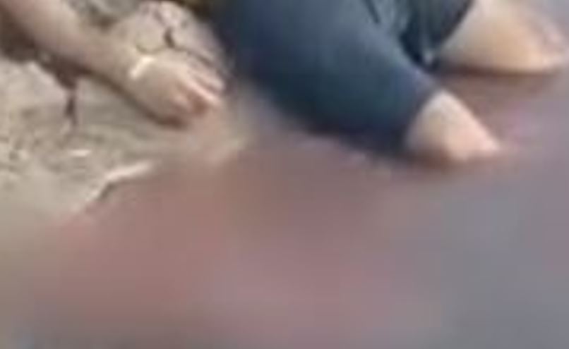 Turista morre ao ser atingido por hélice de barco