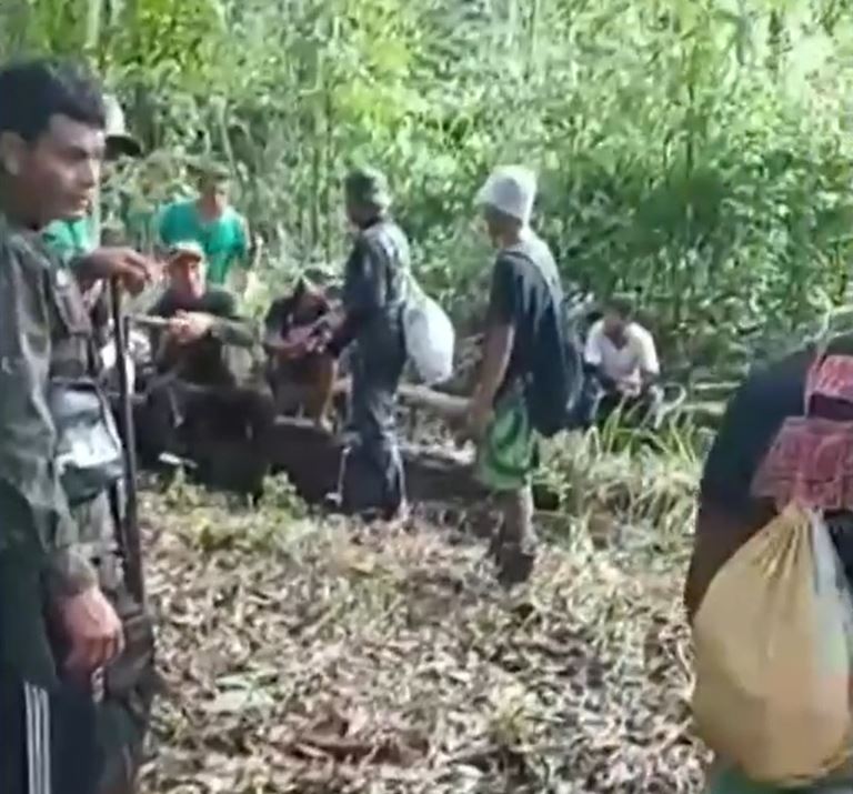 Buscas por criança que desapareceu em mata chegam ao 6° dia no Amazonas