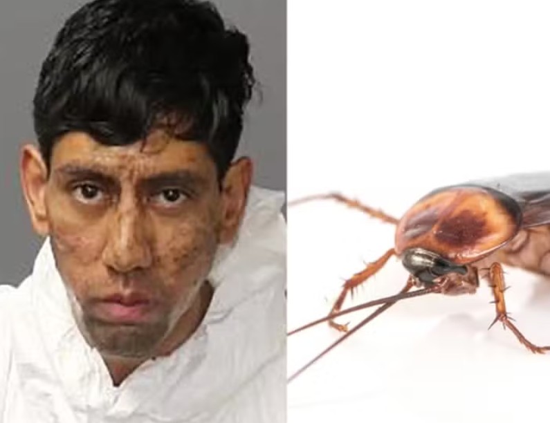 Homem alega ordem de barata para matar duas pessoas nos EUA