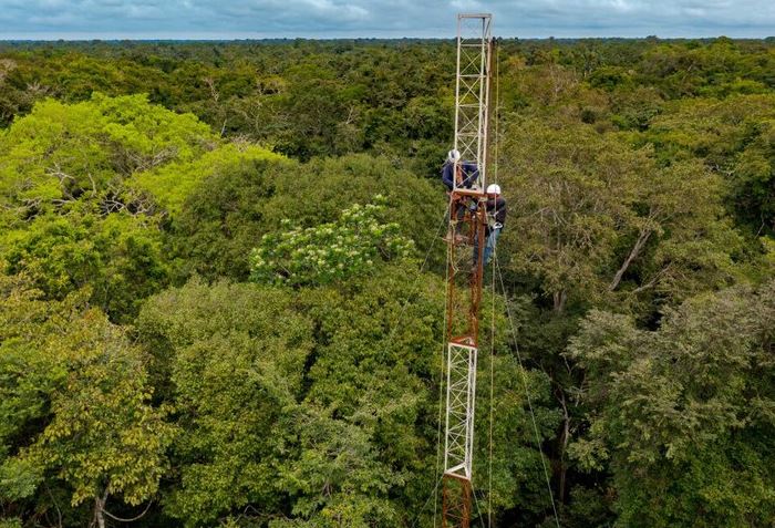 Várzea da Amazônia ganha torre para monitorar gases de efeito estufa
