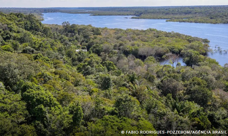 FAB confirma localização de avião desaparecido no Amazonas