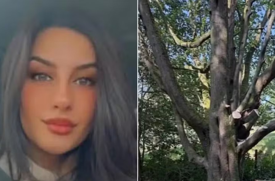 Mãe salva filha da queda de galho de árvore e morre no local