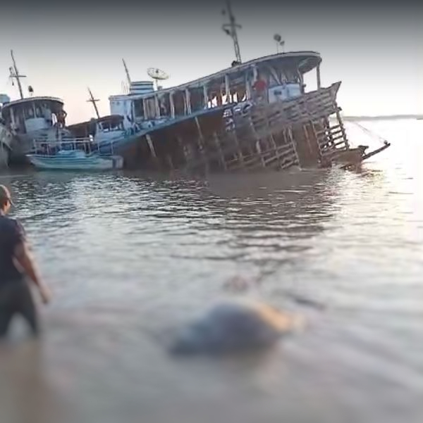 Gados morrem afogados após rebocador naufragar em Manacapuru 