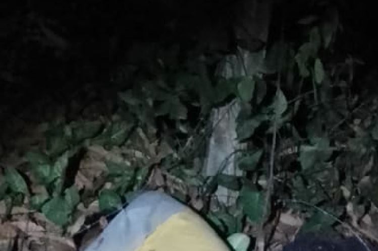 Homem é executado com 10 tiros em terreno abandonado em Manaus 