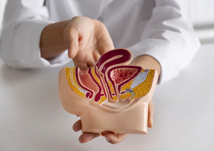 Casos de câncer colorretal estão aumentando entre jovens, aponta estudo