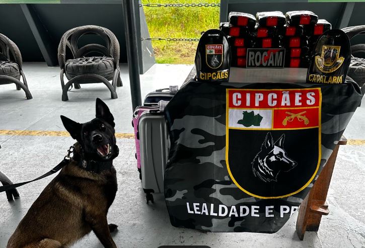 Cadela ajuda na apreensão de carga milionária de droga em barco no Amazonas