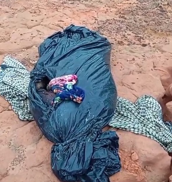 Homem é achado em decomposição dentro de sacola na AM-352