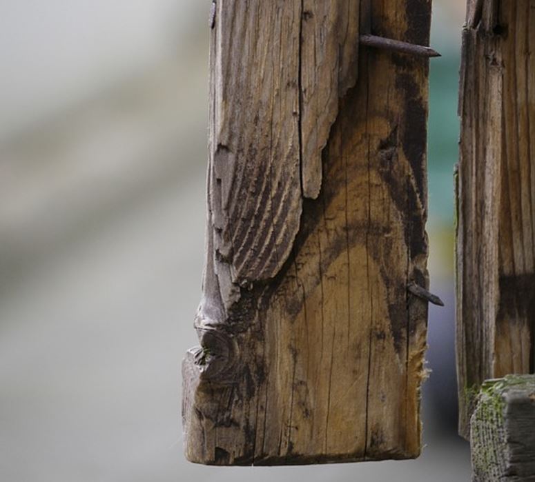 Marido é preso após agredir esposa a pauladas no Tancredo Neves