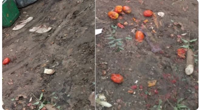 Caseiro morre após ataque de porco