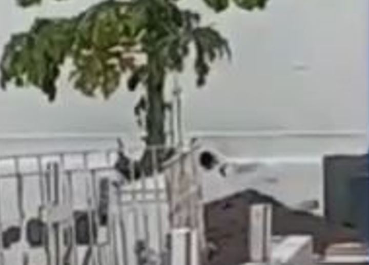 Multidão invade cemitério e incendeia corpo de mulher que decapitou filho