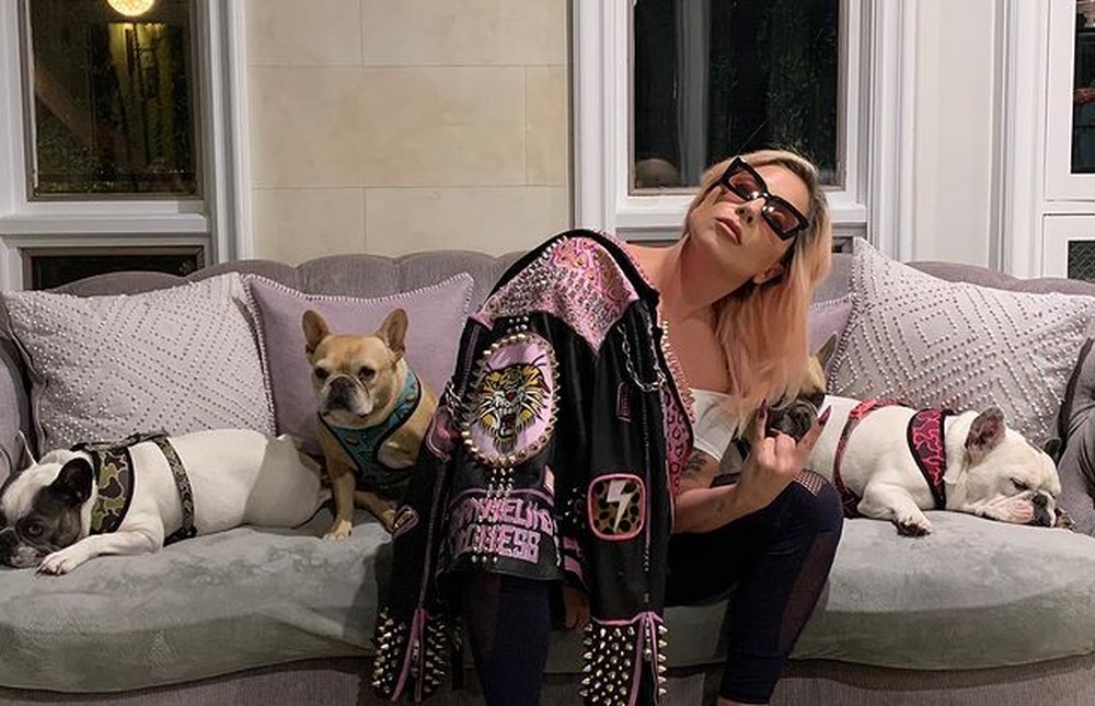 Cachorros de Lady Gaga são devolvidos após roubo armado