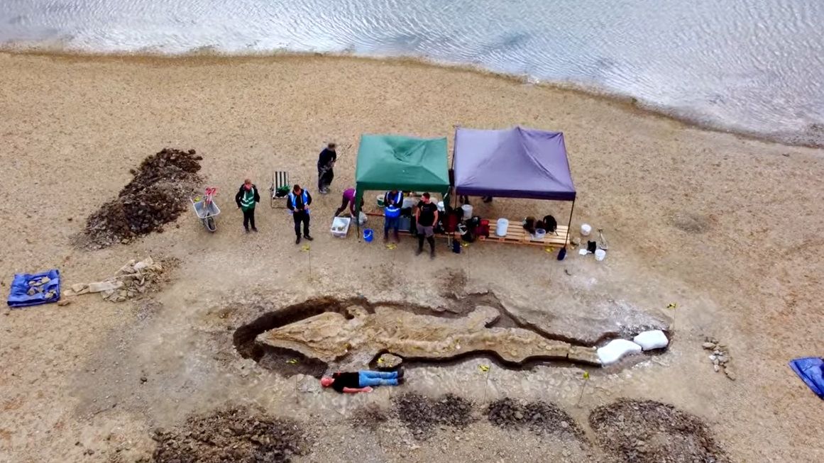 Fóssil de ‘dragão do mar’ de 180 milhões de anos é encontrado na Inglaterra