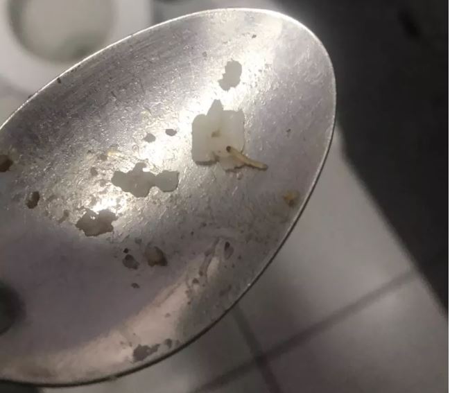 Larvas são servidas com arroz e feijão para estudantes de escola municipal
