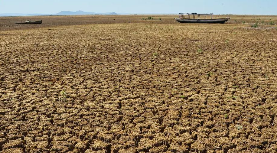 ONU alerta sobre a destruição acelerada do solo