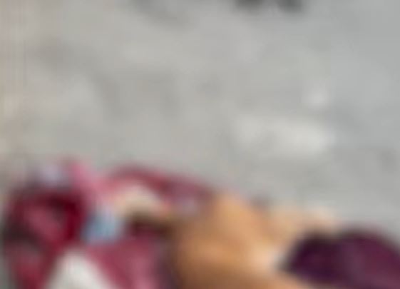 Homem mata cachorro com tiro na cabeça durante briga com a esposa em Manaus