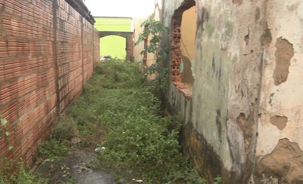 Criança de 10 anos é estuprada e vídeo do abuso viraliza nas redes sociais