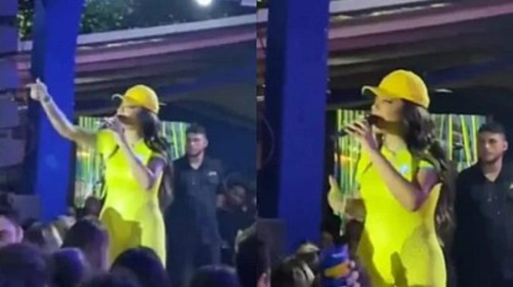 Vídeo: Ludmilla interrompe show após homem jogar gelo nela