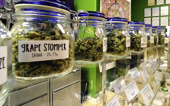 Primeira loja oficial de maconha em Nova York abre com filas e plano de venda online