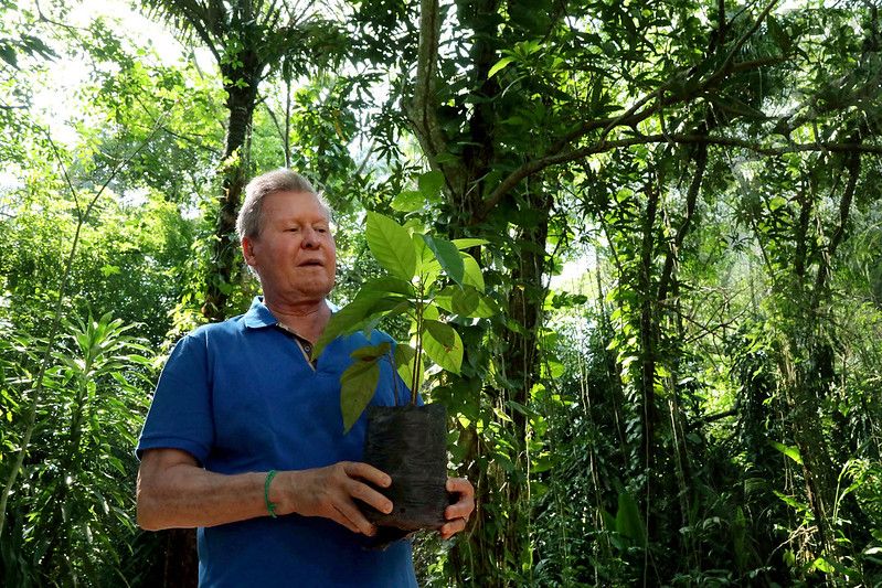 No Dia da Árvore, programa indica que Manaus ganha arborização