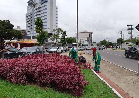 No Dia da Árvore, programa indica que Manaus ganha arborização