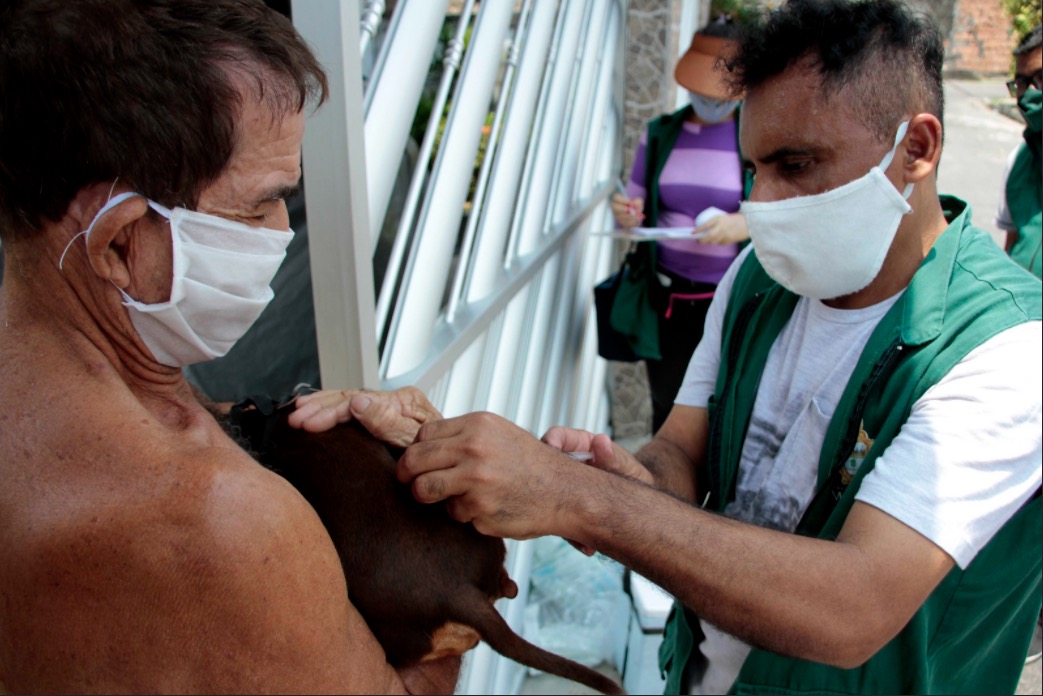 Campanha de vacinação contra raiva em Manaus segue até novembro