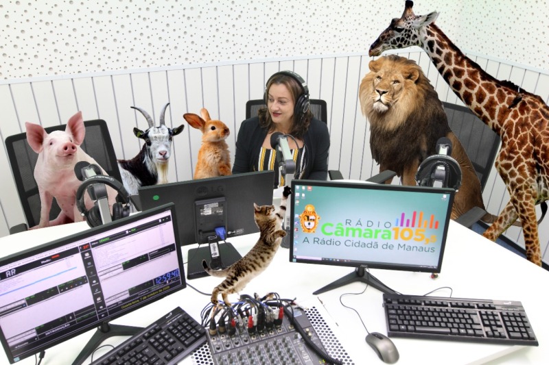 Rádio Câmara homenageia crianças de Manaus com ‘Festa da Bicharada’