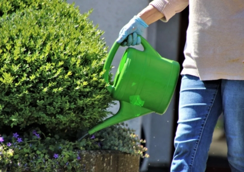 Prefeitura oferece vagas de jardineiro e outras áreas nesta sexta em Manaus