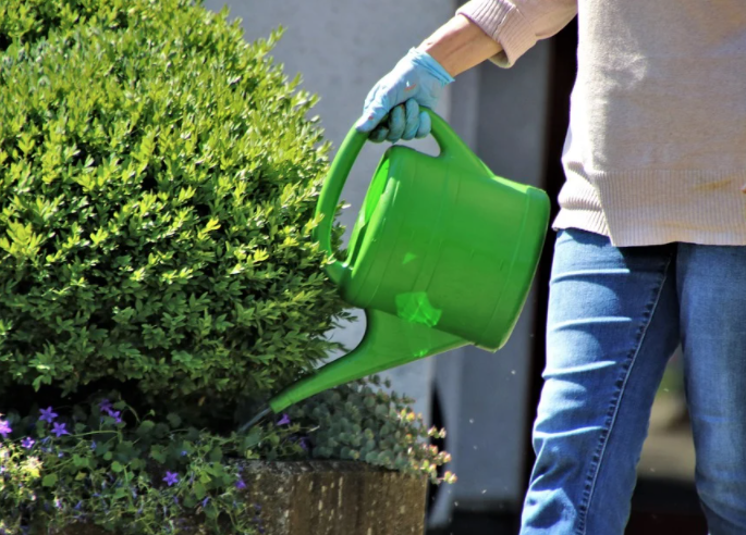 Prefeitura oferece vagas de jardineiro e outras áreas nesta sexta em Manaus