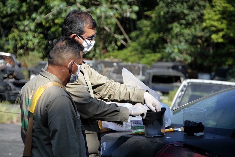 Prefeitura instala armadilhas para reduzir população de mosquitos da dengue