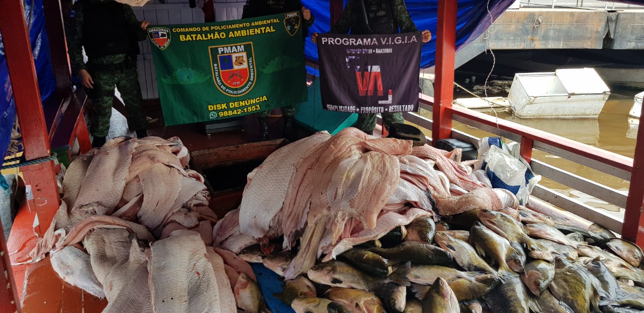 Quase duas toneladas de pescado ilegal são apreendidas em barco em Manaus