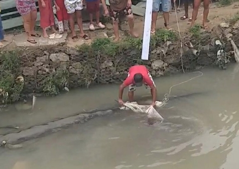 Capivara é resgatada com tarrafa em igarapé de Manaus