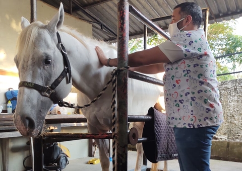 Feira de Agronegócios oferece minicurso de reabilitação equina em Manaus
