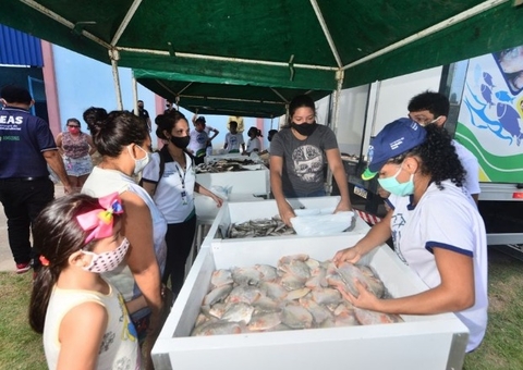 Sepror disponibiliza 10 unidades de pacu ou jaraqui a R$5 em Manaus