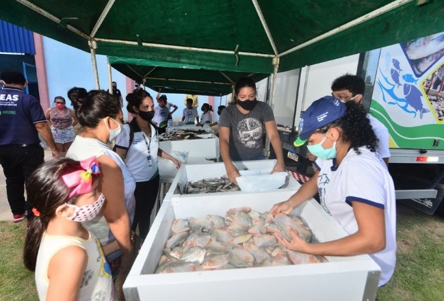 Sepror disponibiliza 10 unidades de pacu ou jaraqui a R$5 em Manaus