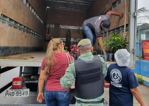 Batalhão Ambiental faz operação em Manaus  e entrega mudas de plantas