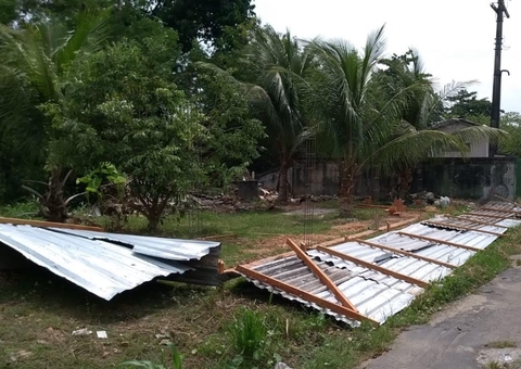 Fiscais impedem 12ª tentativa de invasão de área verde em Manaus