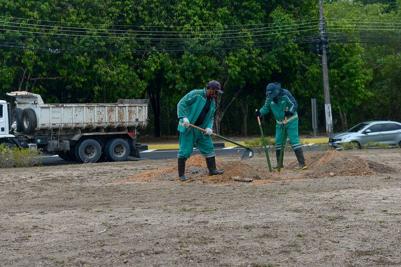 Plantio de sumaumeiras comemora Dia da Árvore em Manaus