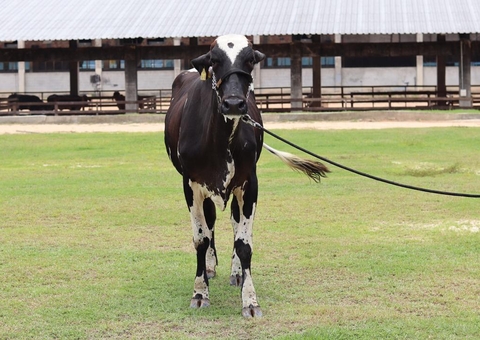 IV Feira de Agronegócios da Universidade Nilton Lins tem novo recorde; veja