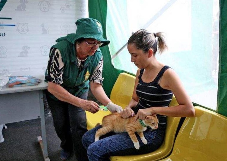 210 vacinadores são convocados para campanha antirrábica em Manaus