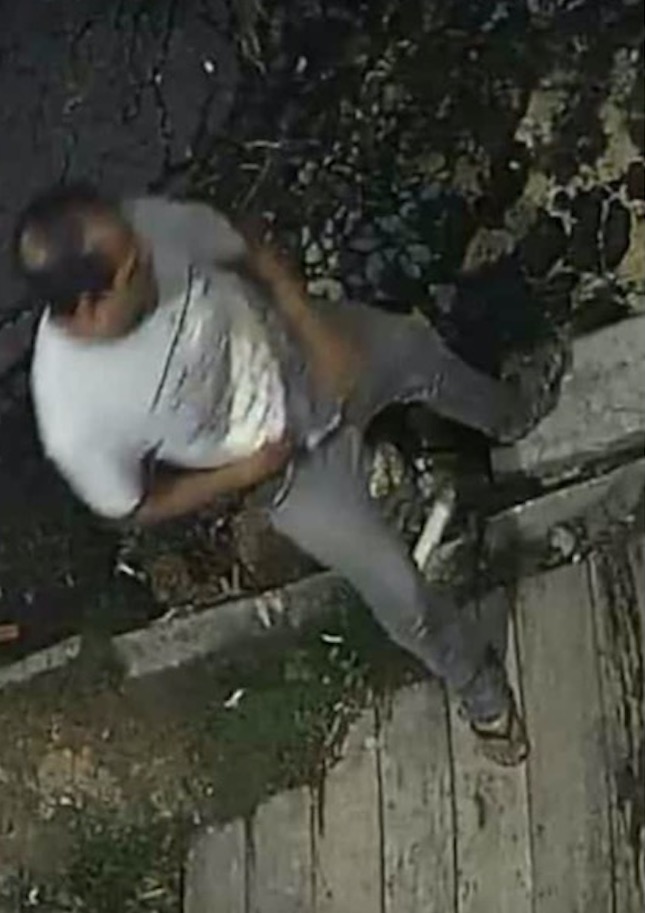 Vídeo: homem tenta sequestrar criança na porta de casa em Manaus 