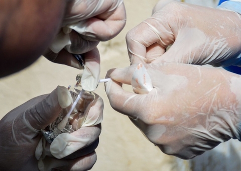 Prefeitura faz mudanças no atendimento a animais suspeitos de esporotricose