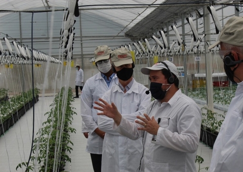  Empresa Denso inova e investe em agricultura no Amazonas