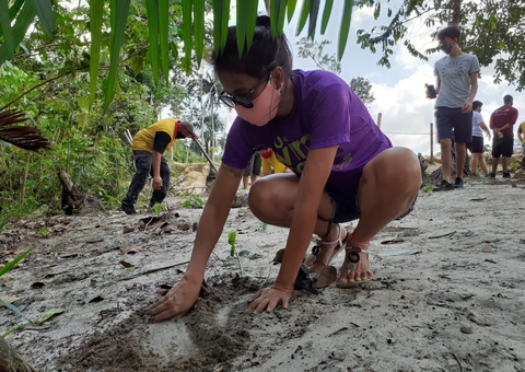 Mais de 200 mudas de árvores são plantadas na Virada Sustentável em Manaus