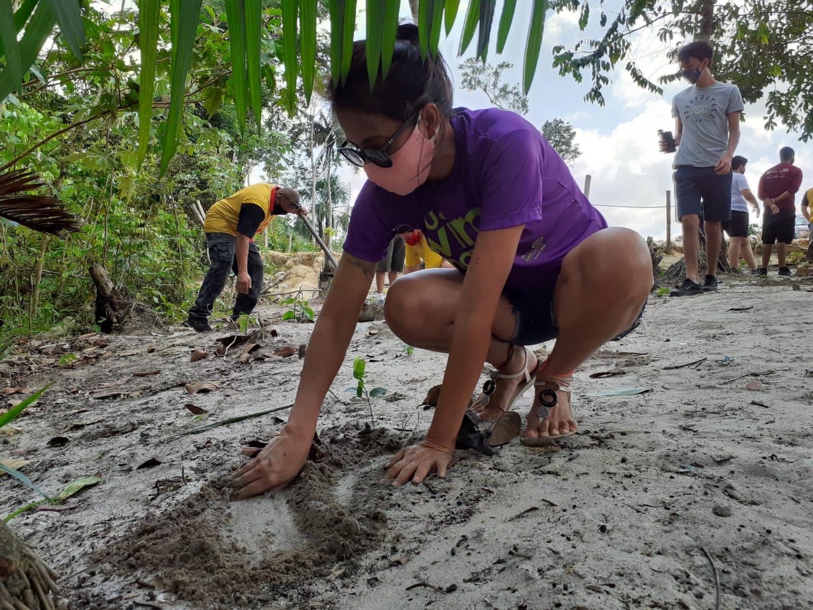 Mais de 200 mudas de árvores são plantadas na Virada Sustentável em Manaus