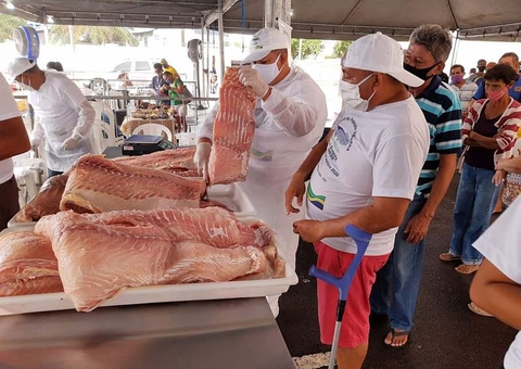 Feira do Pescado comercializa 20 toneladas de pirarucu em Manaus